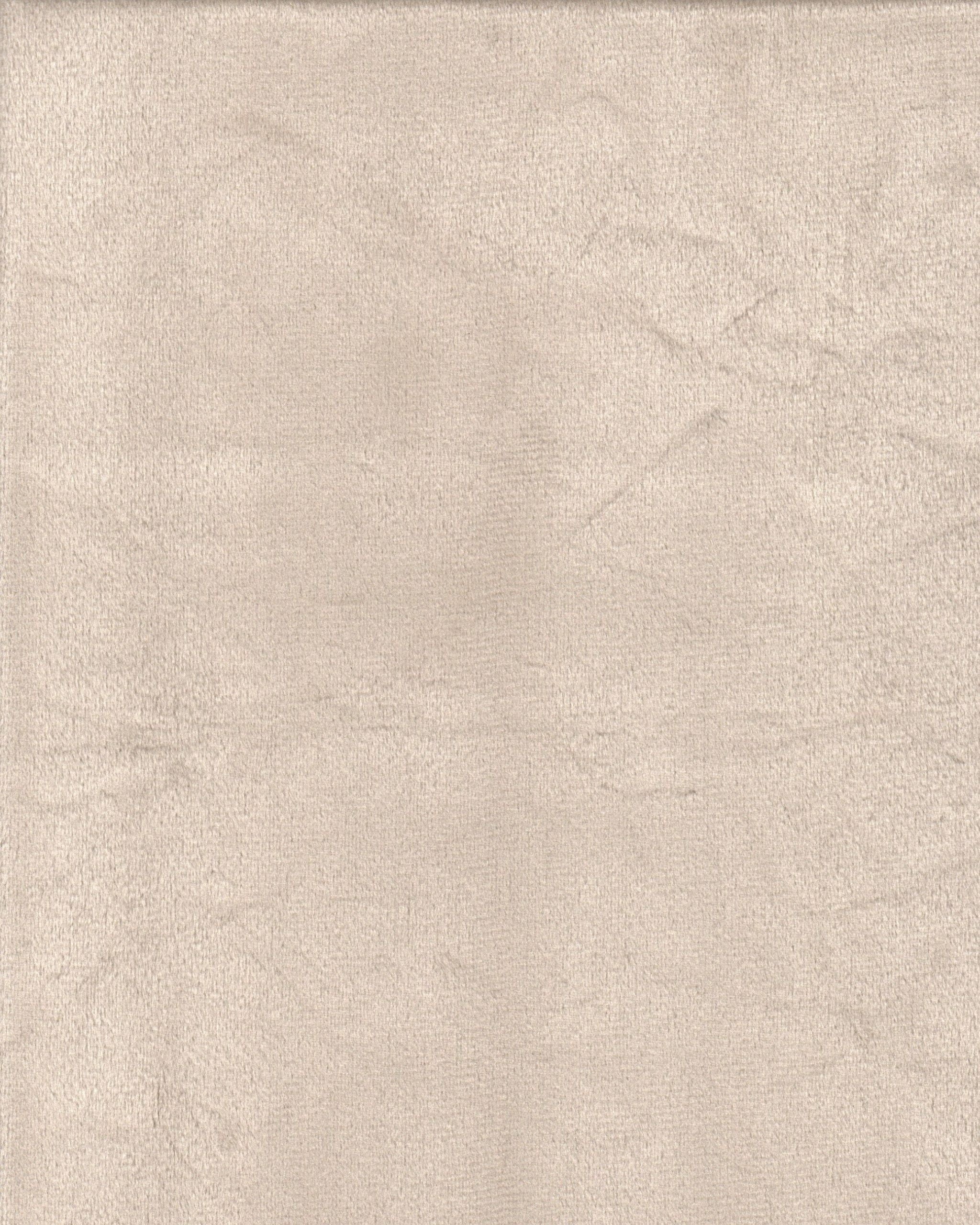 Champagne Velvet Curtain