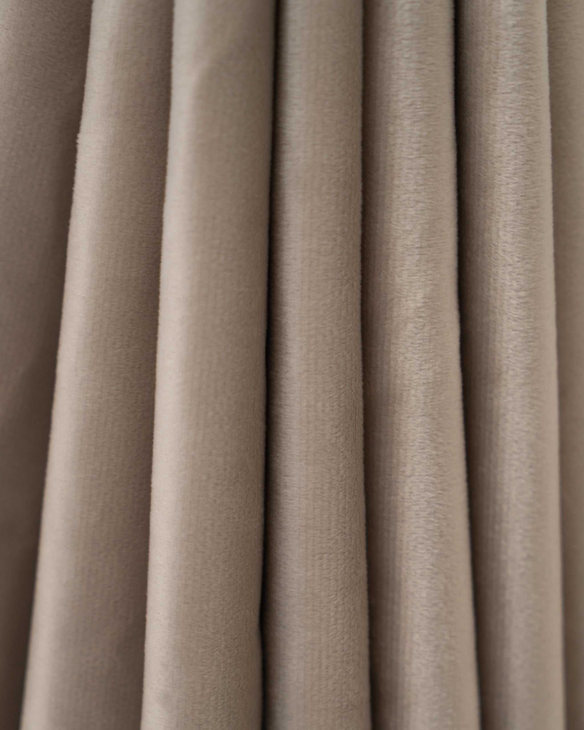 Champagne Velvet Curtain